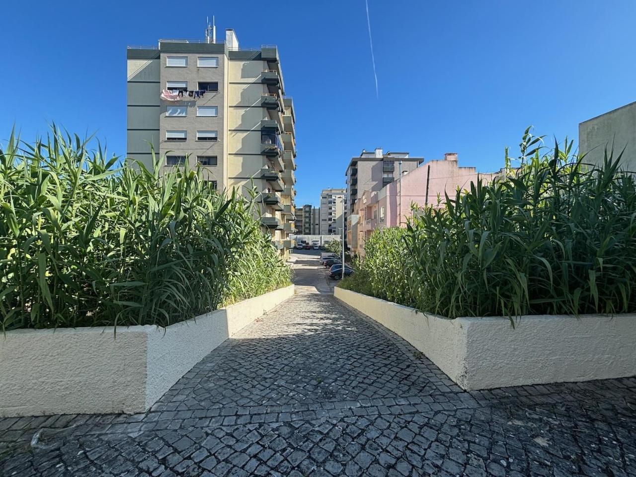 Rosario - Two Bedroom Apart- Buarcos - Figueira Da Foz Bagian luar foto
